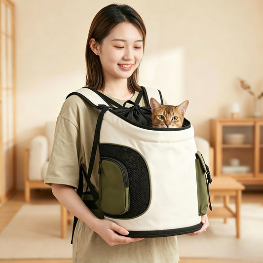 PawBeing front-carry pet backpack with bubble window for travel, showing the transparent viewing area and comfortable straps.
