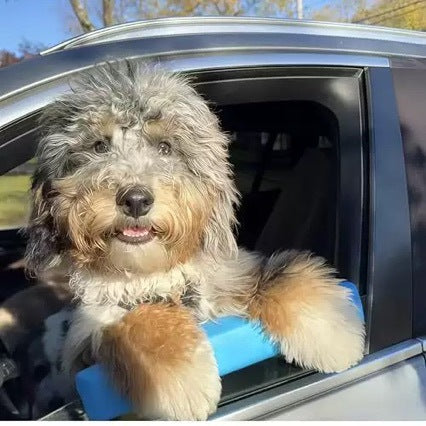 Pet Car Window Chin Rest for Dogs
