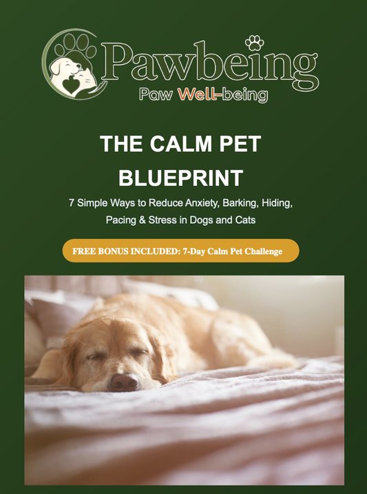 Screenshot of The Calm Pet Blueprint by PawBeing, showing pages with calming techniques and pet relaxation tips.