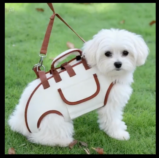 Portable Pet Dog Cat Carrier Backpack